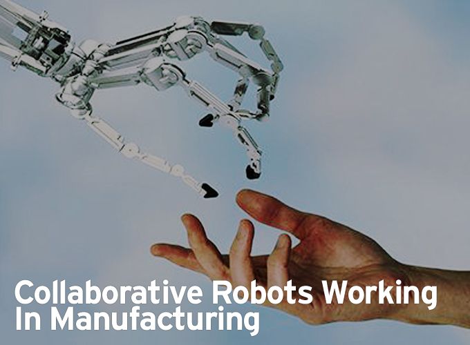 Collaborative Robots Working In Manufacturing
