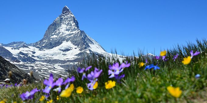 Switzerland’s Specialized Manufacturing Landscape	