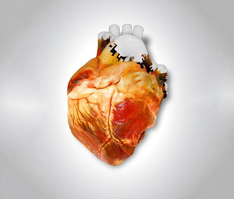 http://www.popsci.com/sites/popsci.com/files/styles/large_1x_/public/import/2013/images/2013/07/heart-printing-main2.jpg?itok=IhD_0ClA